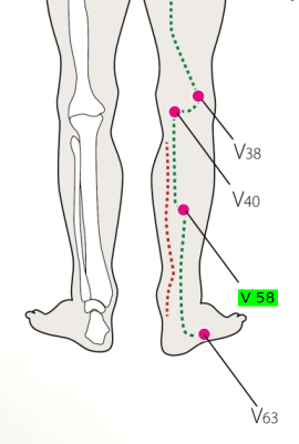 V 58